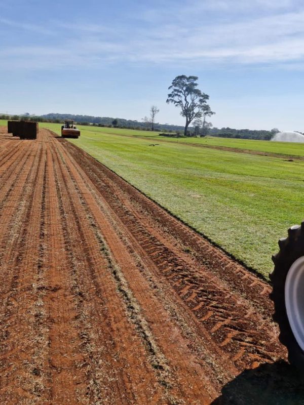 e1942198-3d6d-4ea9-b91e-82badb65e53d